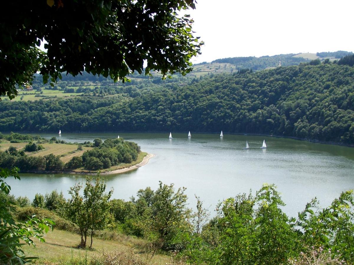 O Fil De L'Eau - Gite En Bord De Lac Saint-Jean-Saint-Maurice-sur-Loire Ngoại thất bức ảnh