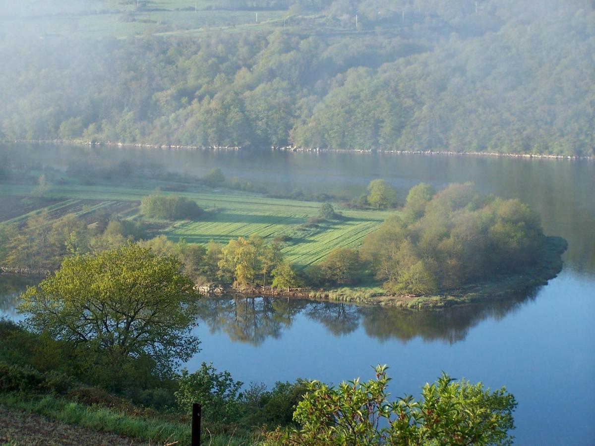 O Fil De L'Eau - Gite En Bord De Lac Saint-Jean-Saint-Maurice-sur-Loire Ngoại thất bức ảnh