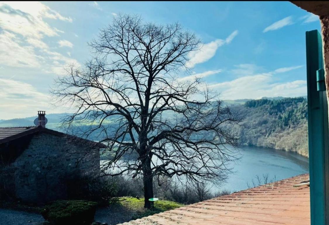 O Fil De L'Eau - Gite En Bord De Lac Saint-Jean-Saint-Maurice-sur-Loire Ngoại thất bức ảnh